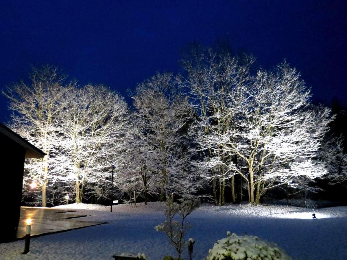 Azumino Hotaka View Hotel Экстерьер фото